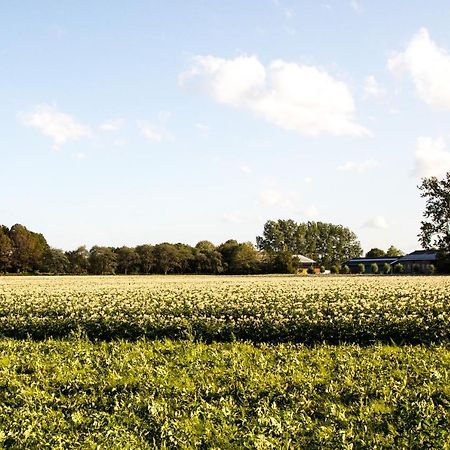 B&B Bij Kaatt Wolphaartsdijk Buitenkant foto